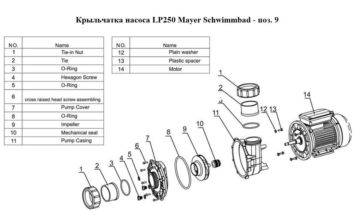 Изображение - 1